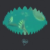 Great White Shark - Single