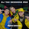 ROZE  DJ TAO Turreo Sessions #22 - Single
