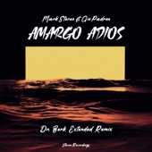 Amargo Adios (Dr. Berk Extended Remix) artwork