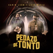 Pedazo de Tonto artwork