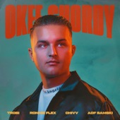 Okee Shordy (feat. Ronnie Flex, ADF Samski & Chivv) artwork