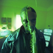 Green Juice (feat. Pharrell Williams & The Neptunes) artwork