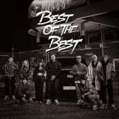 B.O.T.B. (Best of the Best) artwork