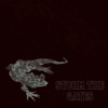 Storm the Gates - Single