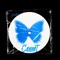 Cennet - Zara lyrics