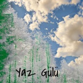 Yaz Gulu (Remix) artwork