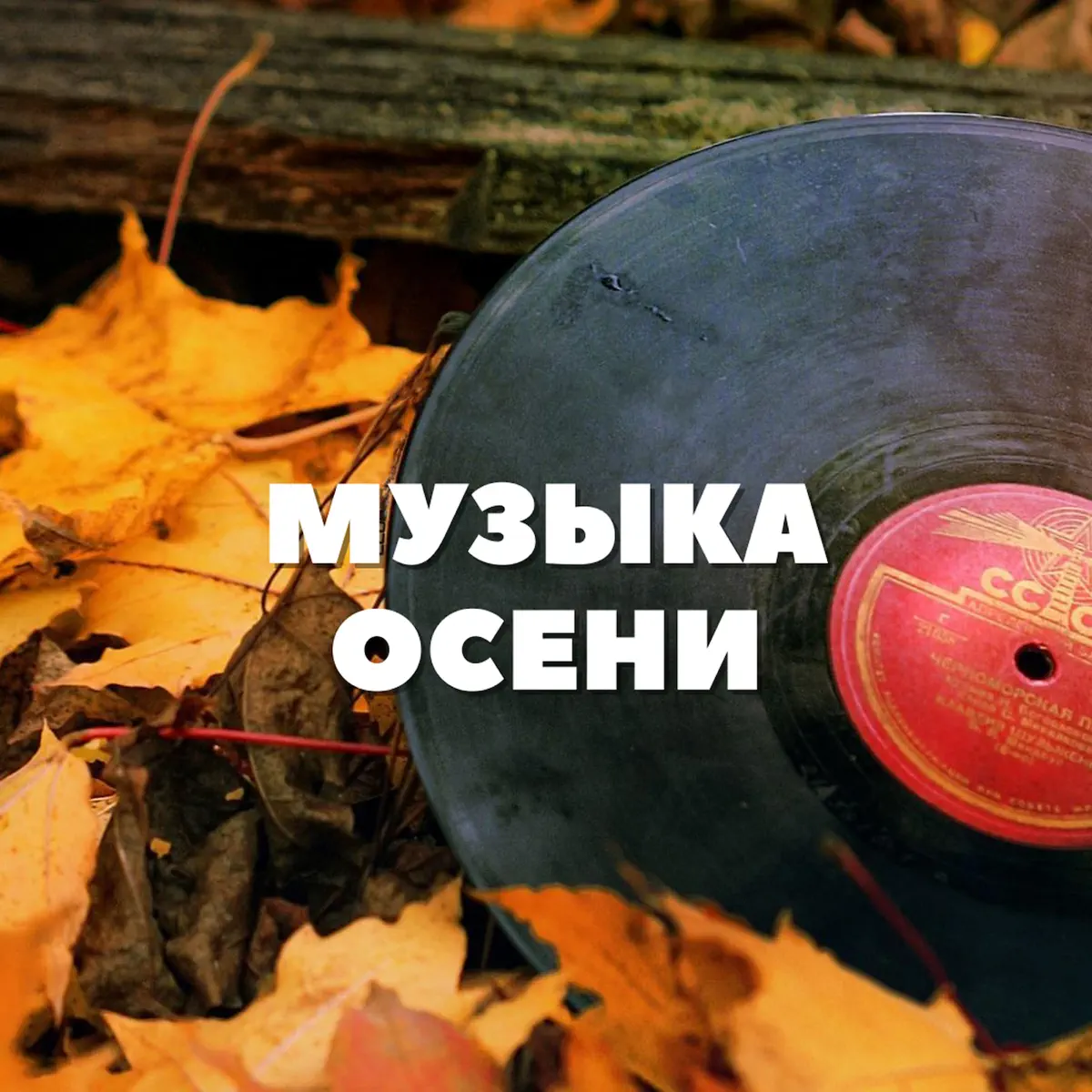 Новая Песня Игоря Николаева Не Уходи Лето