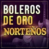 Ramón Ayala y Sus Bravos del Norte - No Porque Seas Tú
