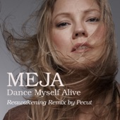 Dance Myself Alive (Reawakening Remix) artwork