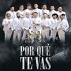 Por qué te vas - Single