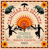 Caminar en Belleza (Orgänica Elemental Remix) artwork