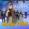 Santri Pekok - Single