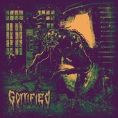 Gorrified - Metamorphosis