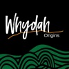 Origins - Single