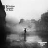Relaxing Sounds of Rain album lyrics, reviews, download