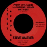Steve Waltner - Pretty Little Angel