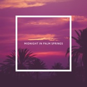 Midnight In Palm Springs artwork