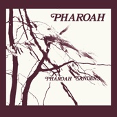 Pharoah Sanders - Love Will Find a Way