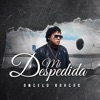 Mi Despedida - Single