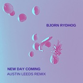 New Day Coming (Austin Leeds Remix) artwork