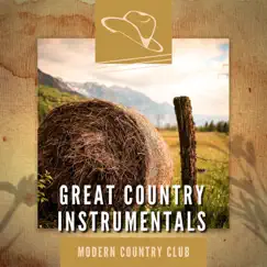 Great Country Instrumentals by Country's Finest, Modern Country Club & Country Hit Superstars album reviews, ratings, credits