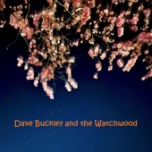 Dave Buckley and the Watchwood - Gulls
