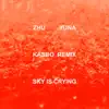 Sky Is Crying (Kasbo Remix) [feat. Yuna] - Single album lyrics, reviews, download