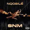 Snm - Single album lyrics, reviews, download