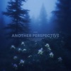 Another Perspective - Single