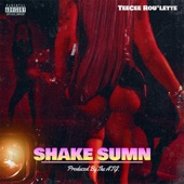Shake Sumn artwork