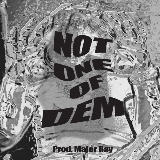 Cover artwork for Not One of Dem
