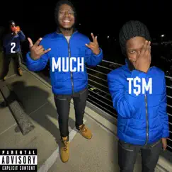 2 Much T$M by T$M album reviews, ratings, credits