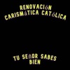 Tu Señor sabes bien - Single