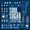 Cool Down Dub (feat. Booker T. & Blundetto) - Soul Sugar lyrics