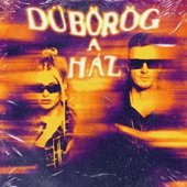 Dübörög a ház (2023 Version) artwork