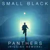 Stream & download Panthers (Riggins Rework) - Single