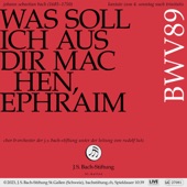 Bachkantate, BWV 89 - Was soll ich aus dir machen, Ephraim - EP artwork