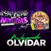 No la Puedo Olvidar - Single