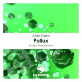 Pollux artwork
