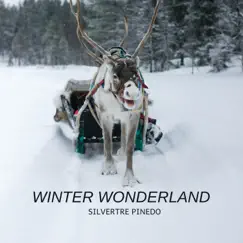 Winter Wonderland - Single by Silvertre Pinedo album reviews, ratings, credits