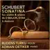 Violin Sonata (Sonatina) in D Major, D. 384, Op. 137/No. 1: II. Andante - Single album cover