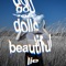 Beautiful Lie cover