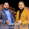 Numai Domnul E Cu Tine - Single