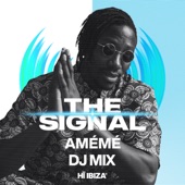 The Signal Opening Party 2023 (DJ Mix) artwork