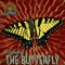 The Butterfly - Flagman Djs lyrics