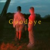 Goodbye - Single