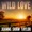 Joanne Shaw Taylor - Wild Love