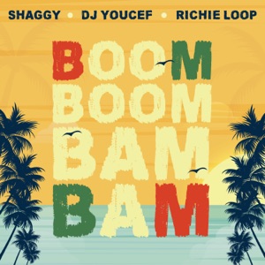 DJ Youcef, Shaggy & Richie Loop - Boom Boom Bam Bam - 排舞 音乐