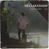 Neelakasham (LoFi Mix) artwork