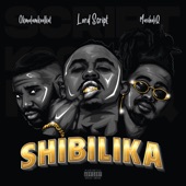 Shibilika (feat. Okmalumkoolkat & MusiholiQ) artwork